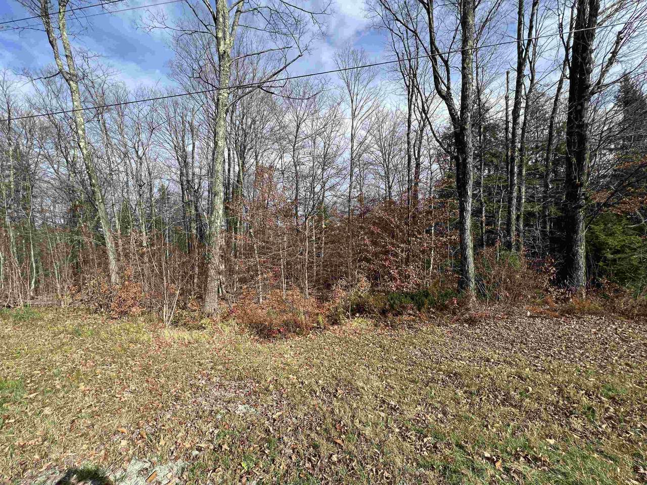 Lot 8 Glebe Mtn Road - Photo 1