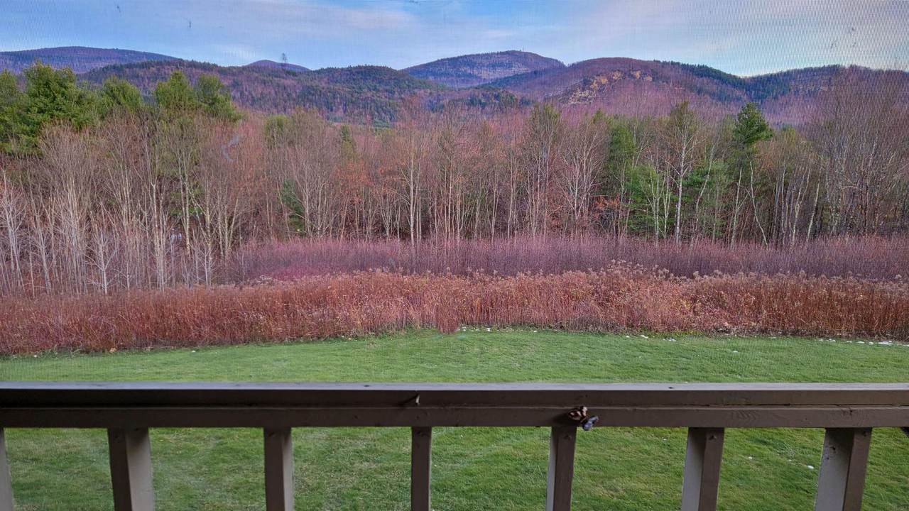 708 Butternut Hill Road - Photo 1