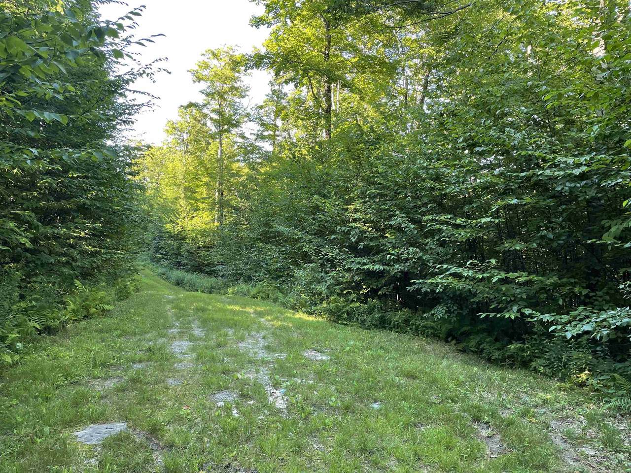 3I Westover Road - Photo 1