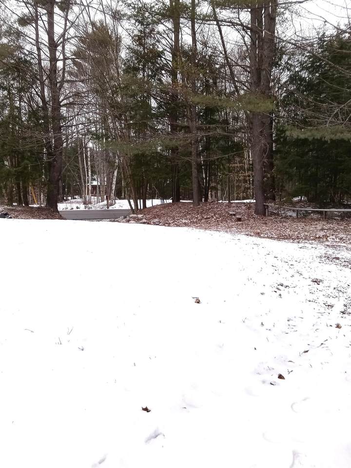 309 Maple Road - Photo 1