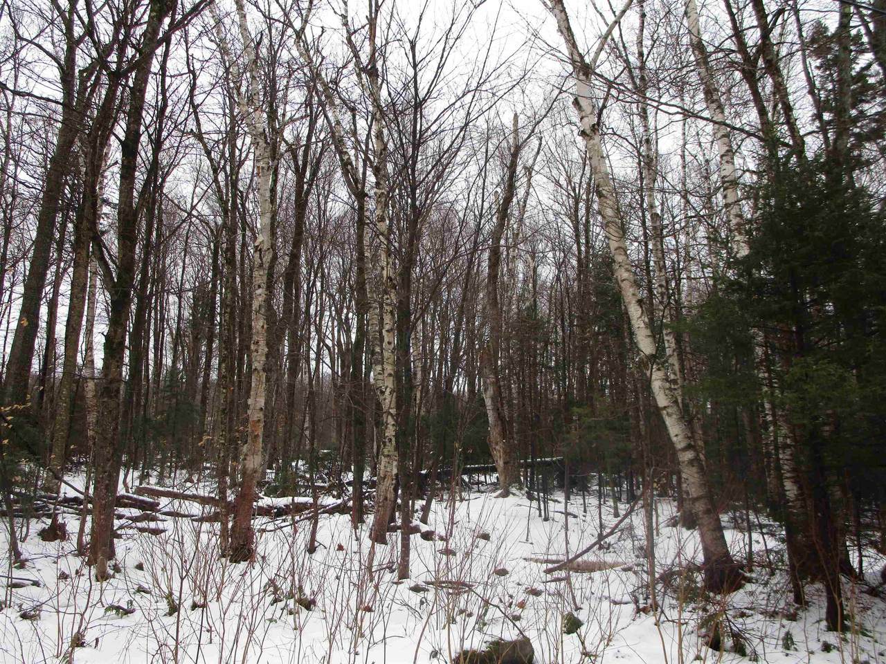 88A Sylvan Ridge Road - Photo 1
