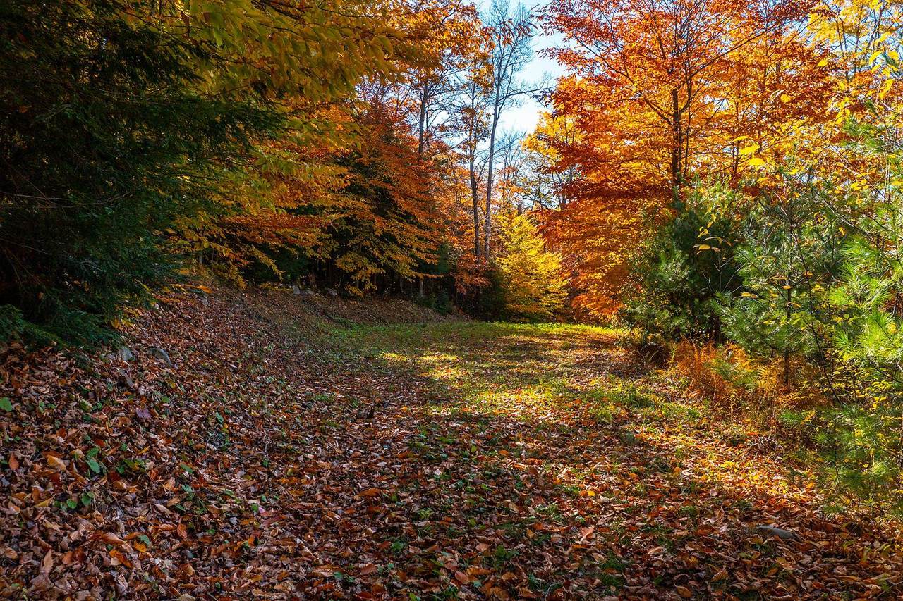 37 Low Road - Photo 1