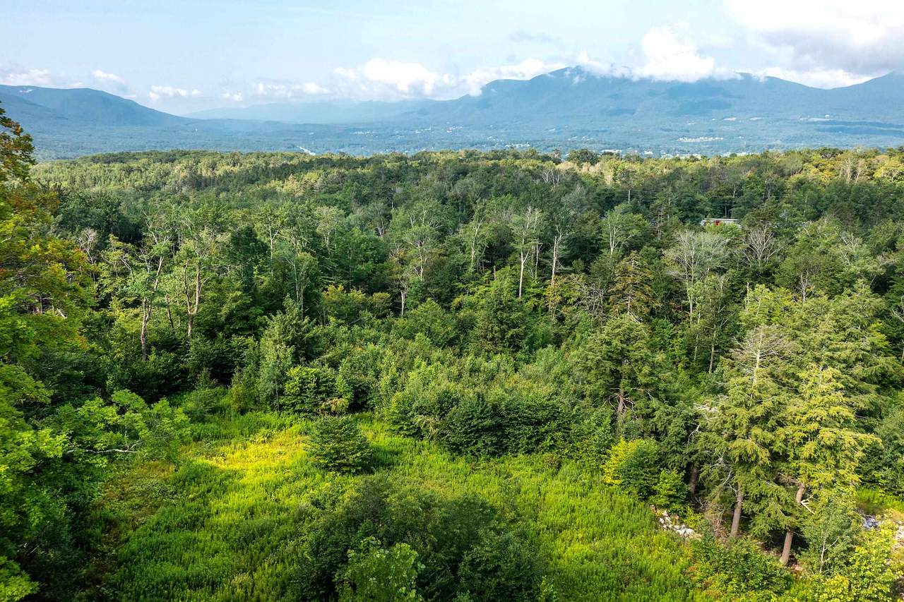 Lot 3 Route 11/30 - Photo 1