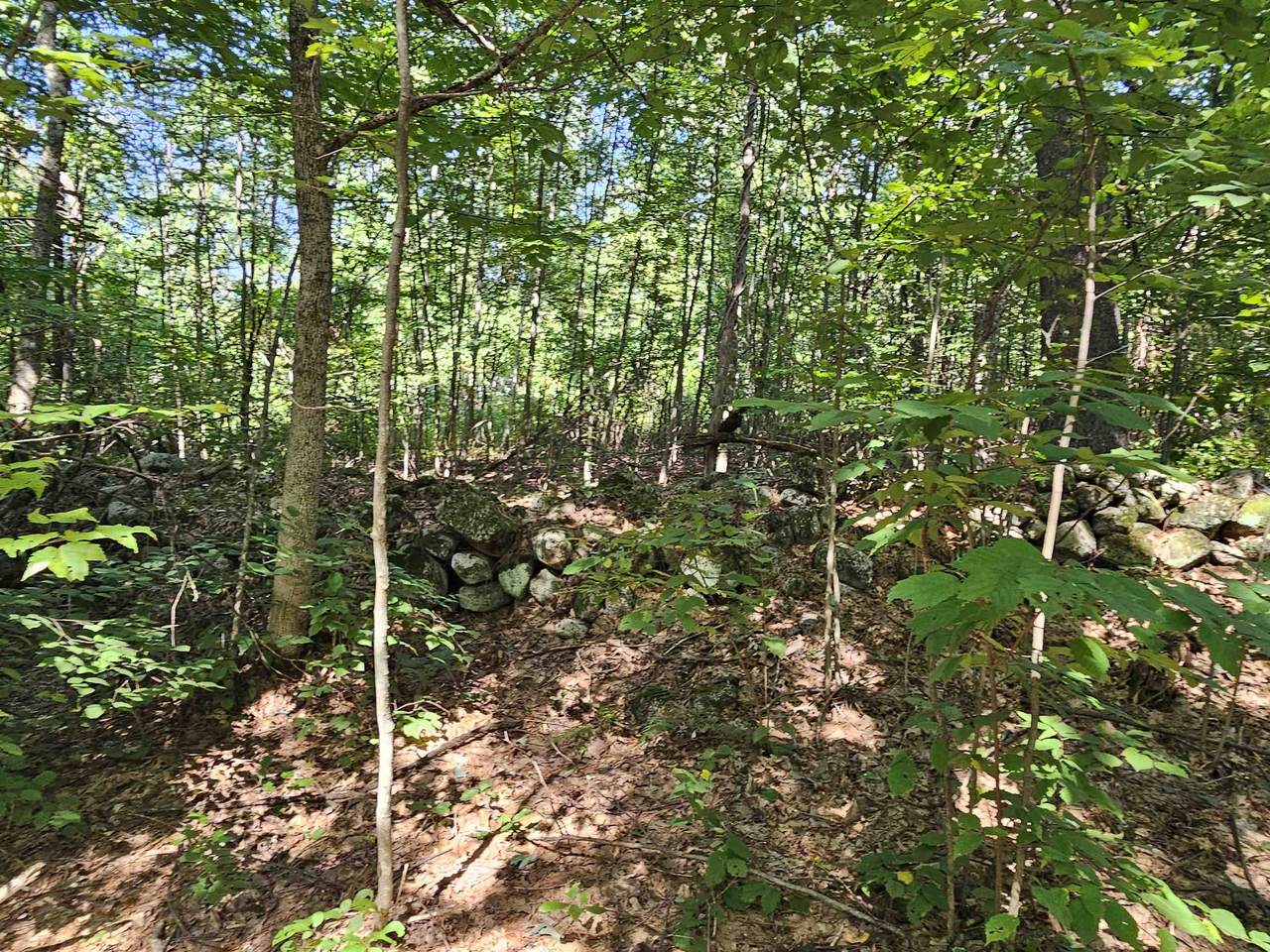 13-32-1 Prescott Lane - Photo 1