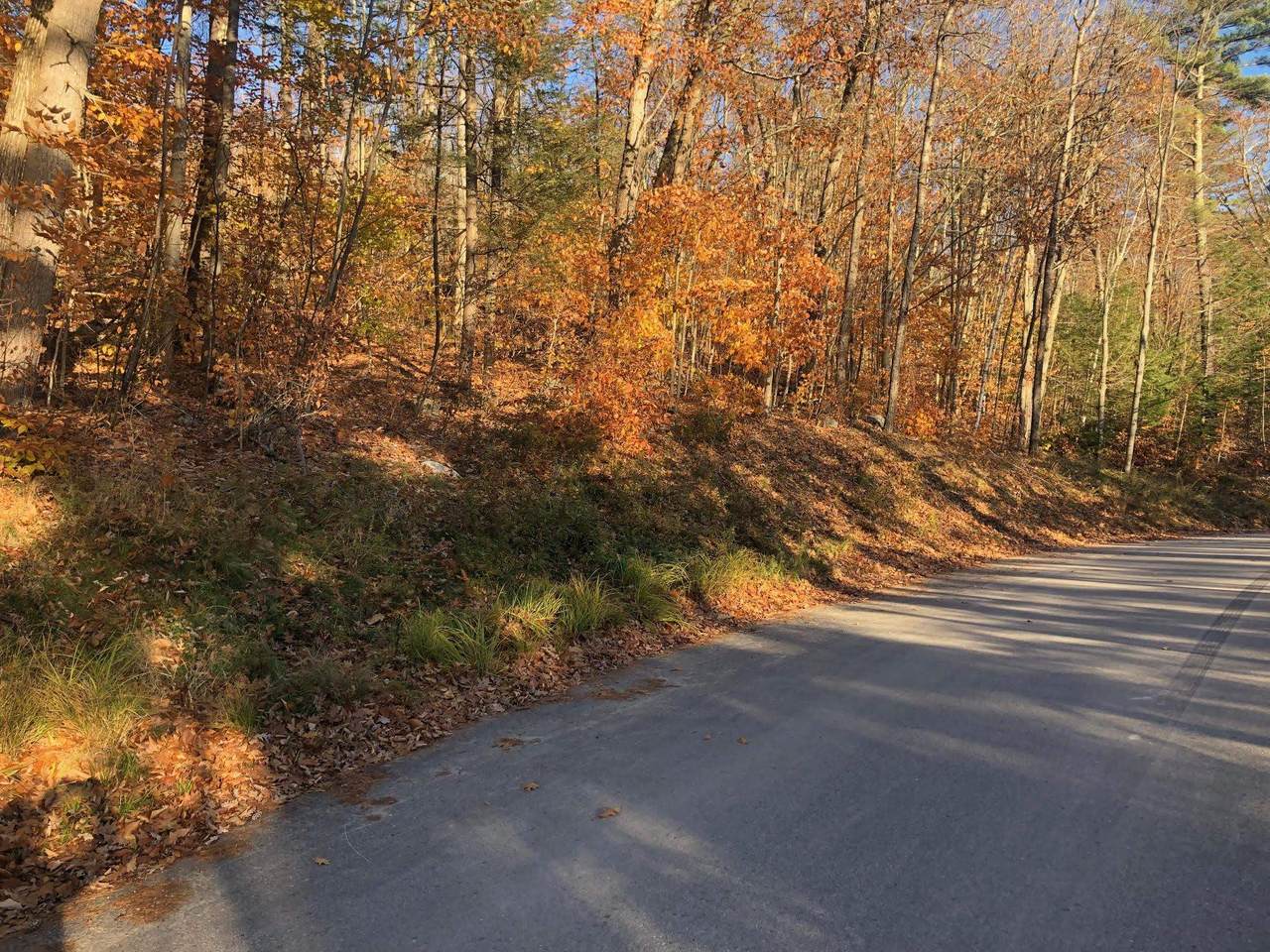 70/61-63 Sunset Shore Drive - Photo 1