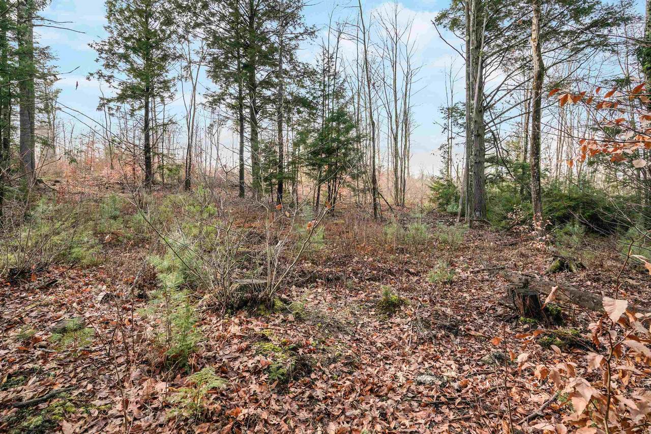 404/91/1A Merrill Road - Photo 1