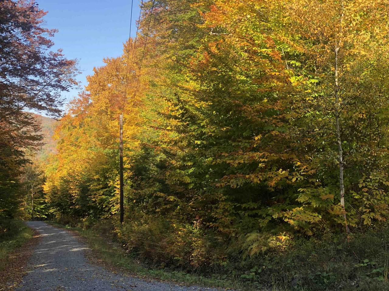 0 Andrea Drive - Photo 1