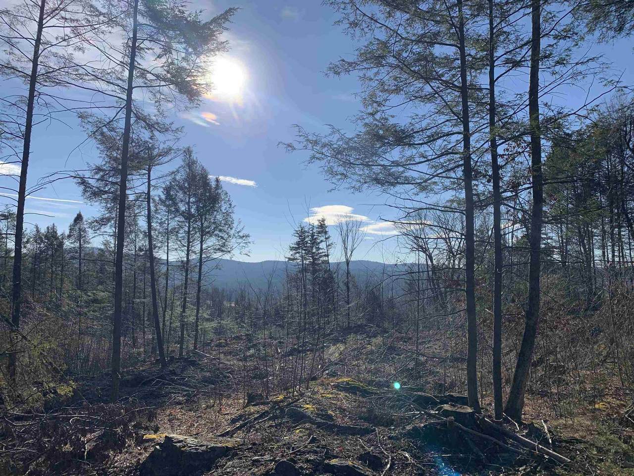 Map3 Lot9-1 Scotland Road - Photo 1