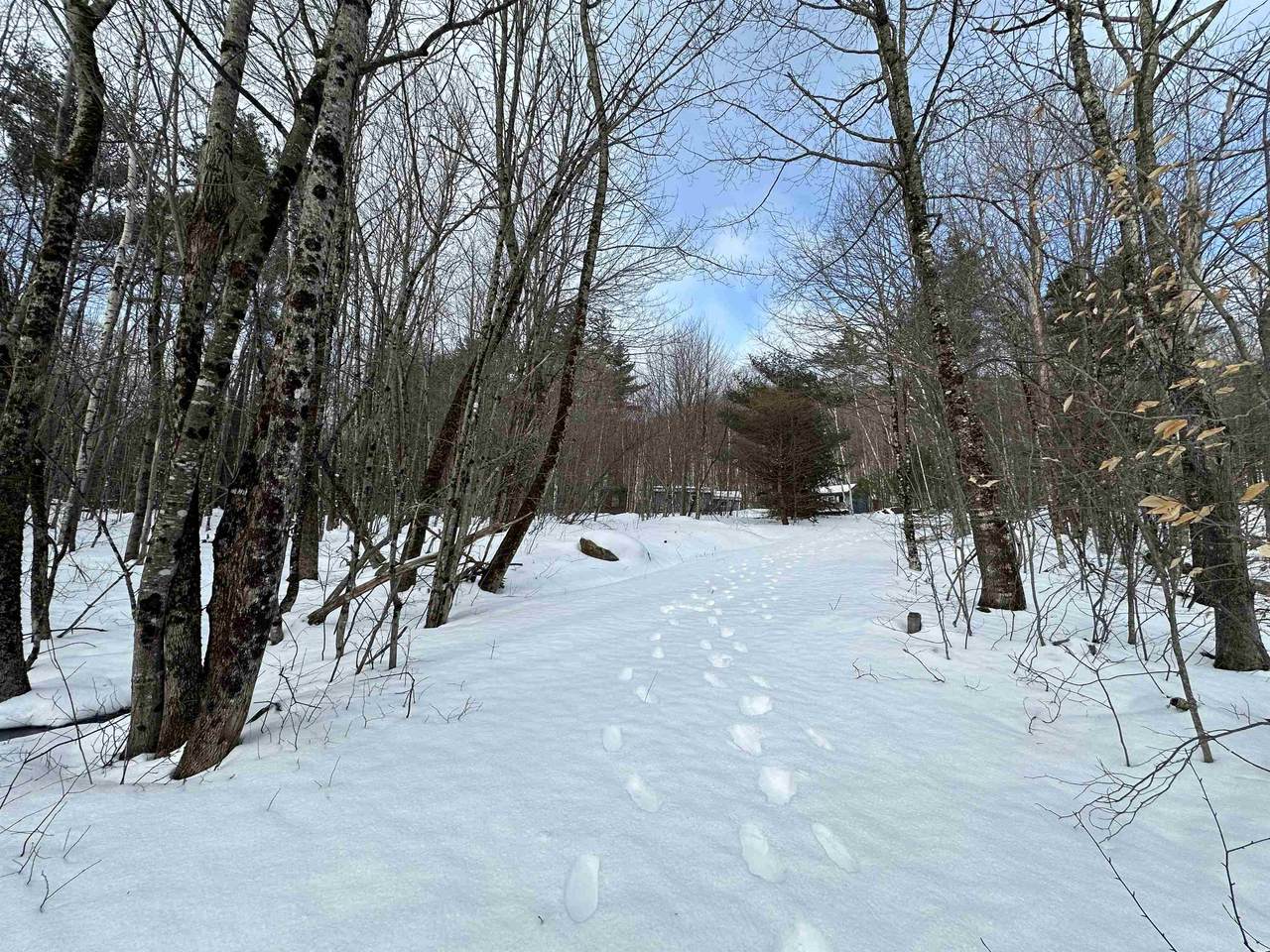 145 Quaker Path - Photo 1