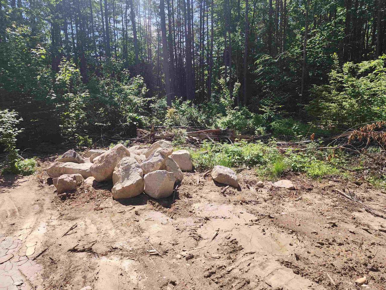 00 Tamarack Overlook - Photo 1