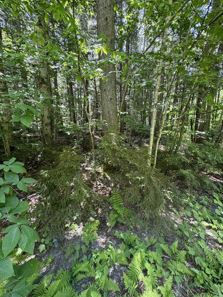 0 Boardman Loop - Photo 1