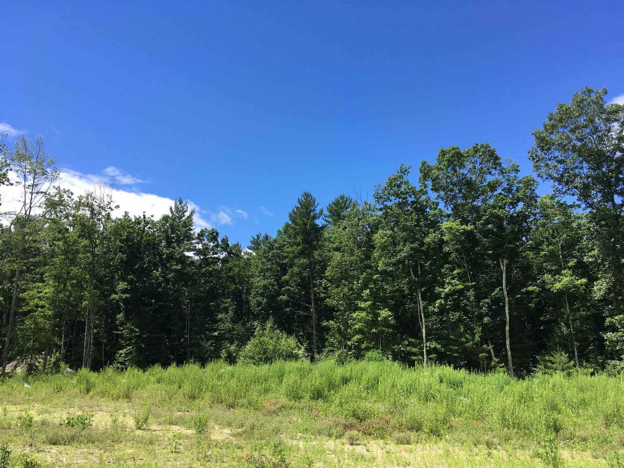 27 Austin Lane - Photo 1