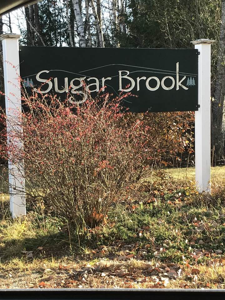 Lot 18 River View Road - Photo 1