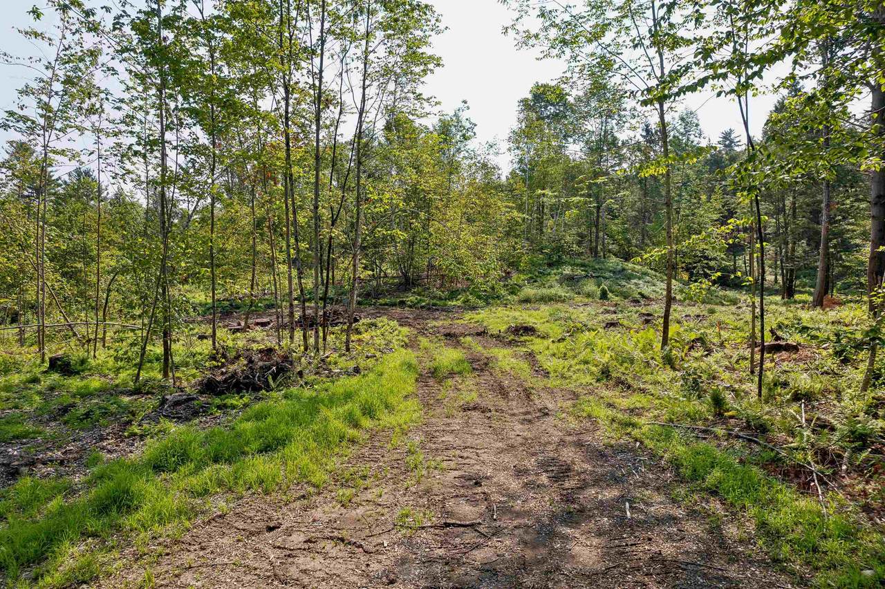 00 Court Street - Photo 1