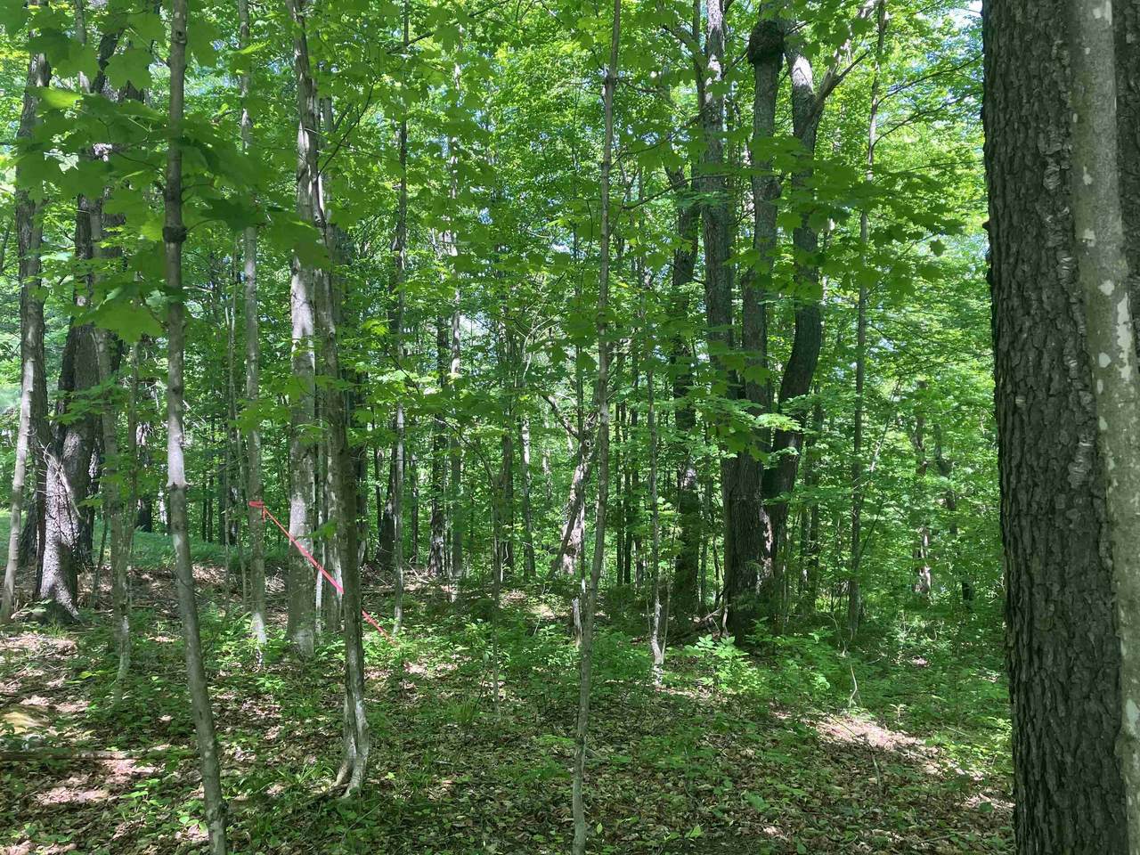 25 Upper Howes Way - Photo 1