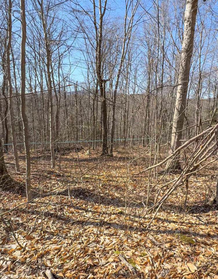 975 Stratton Arlington Road - Photo 1