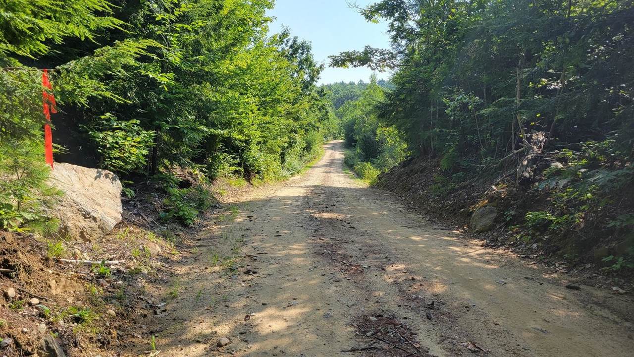0 Hannah Nutter Road - Photo 1