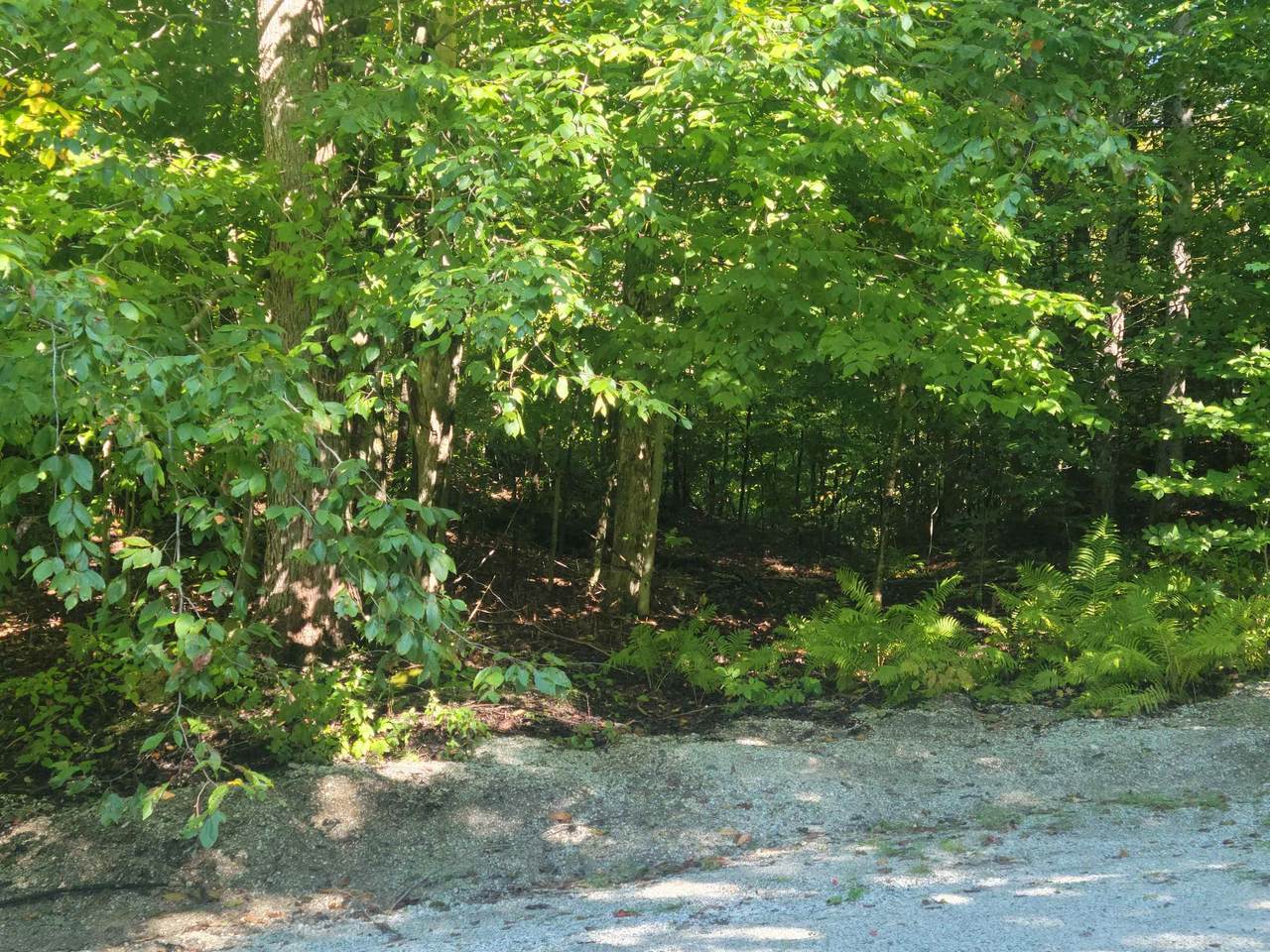 https://bt-photos.global.ssl.fastly.net/nneren/1280_boomver_1_5014205-2.jpg
