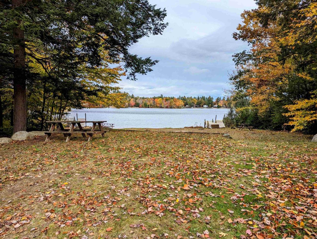  Nicola Road - Photo 1