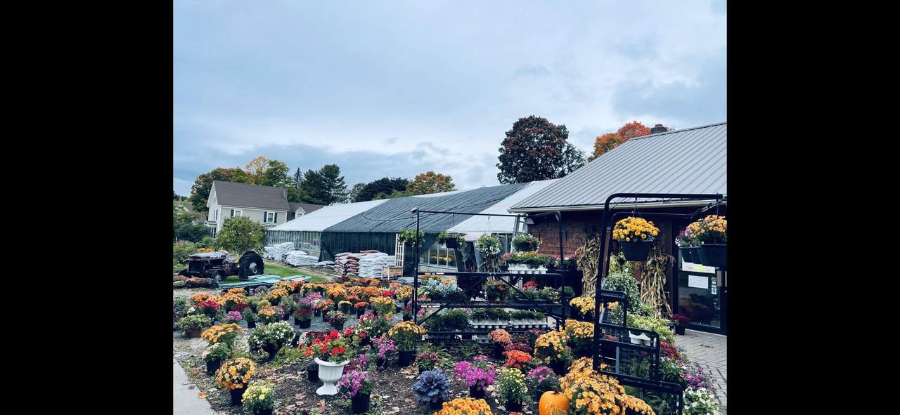 20 Elm Street - Photo 1