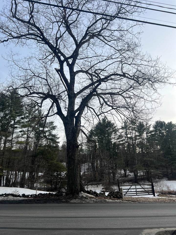  Acworth Road - Photo 1