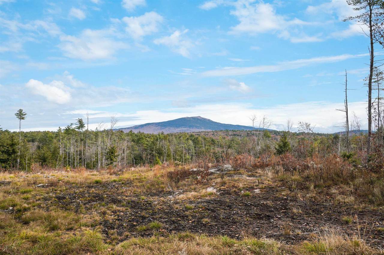 Lot 8 Maple Lane - Photo 1