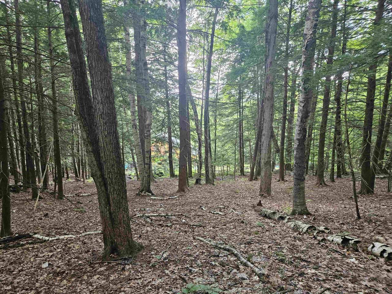 Map 132 Lot 115 Arrowhead Lane - Photo 1