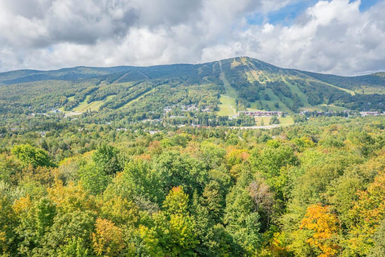 70 Overlook Drive - Photo 1