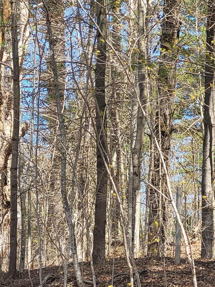 921 Coppermine Road - Photo 1