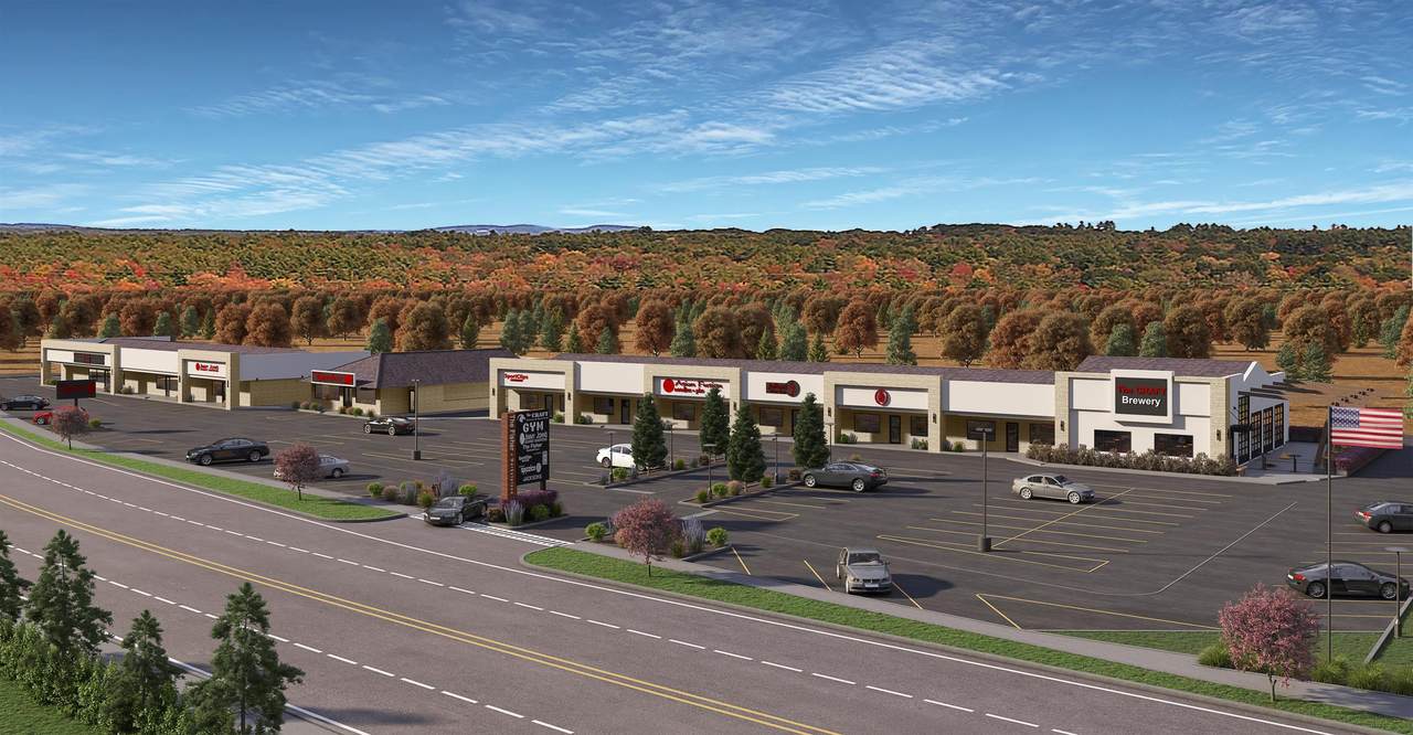 181-183B Wakefield Street - Photo 1