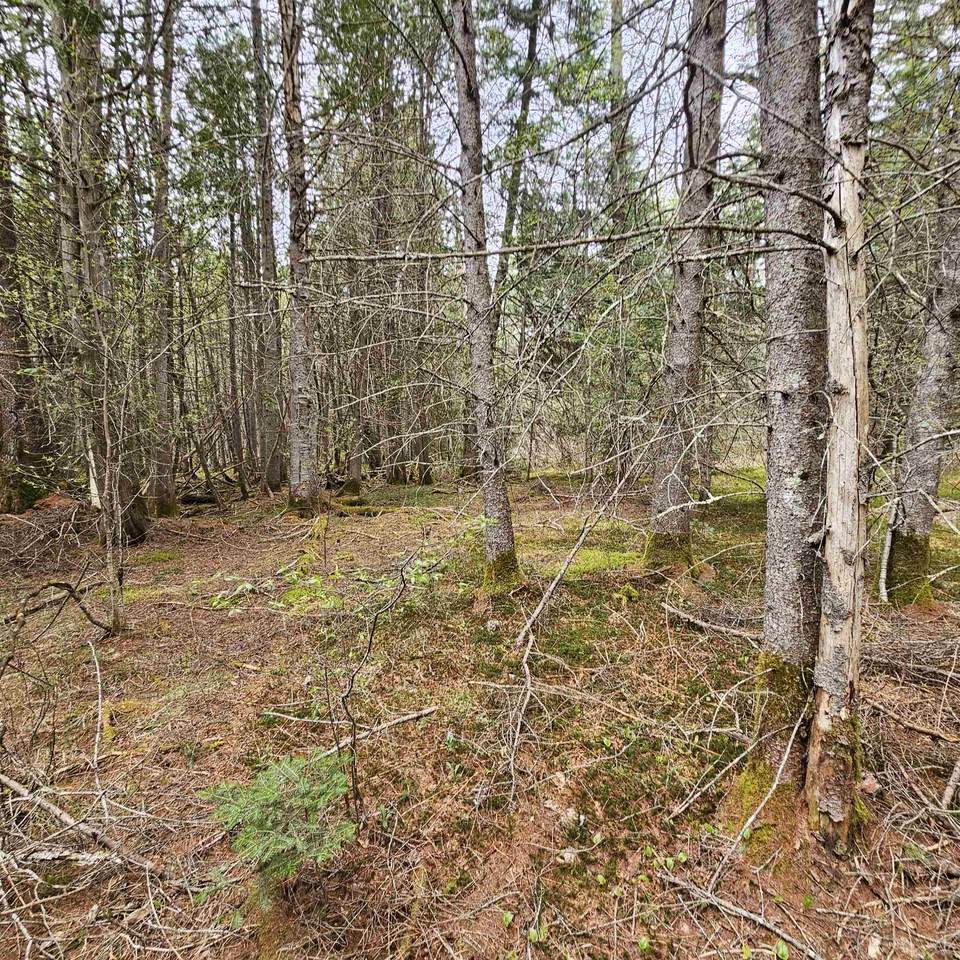 3839 Us Route 5 - Photo 1