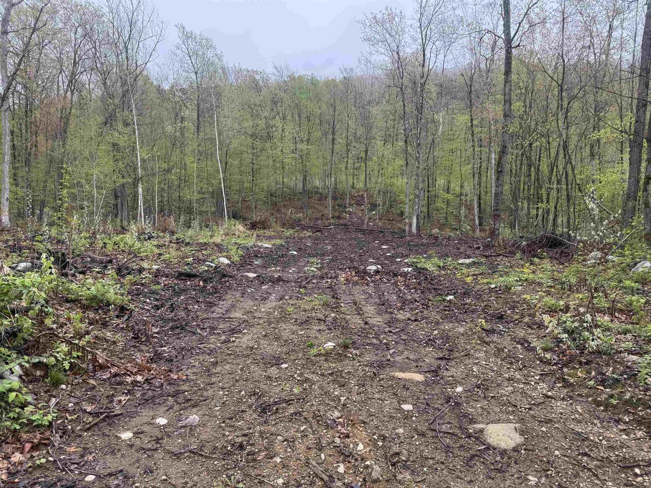 0 Upper Plains Road - Photo 1