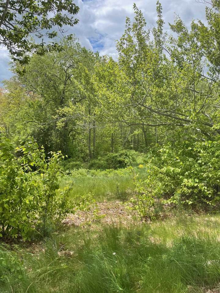 00 Lovell Road - Photo 1