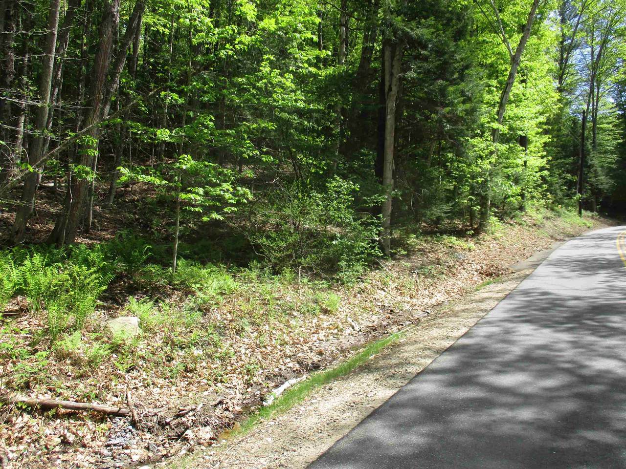 tbt Bog Road - Photo 1