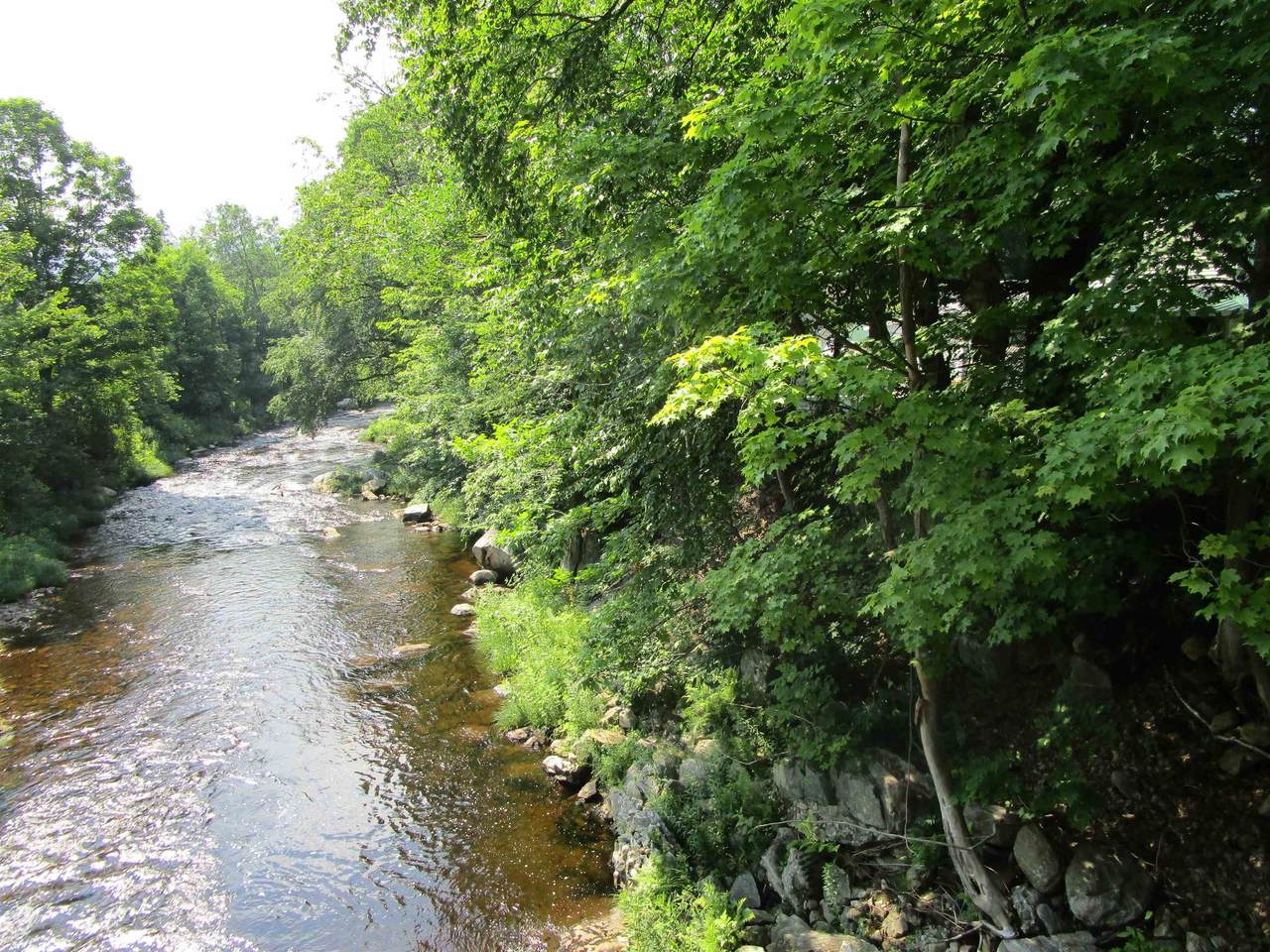 1950 N. Main Street - Photo 1