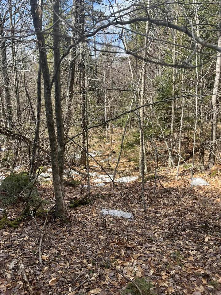 East Washington Road - Photo 1