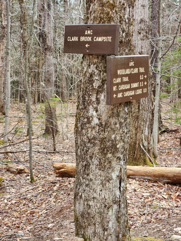 0 Clarks/Woodland Trail - Photo 1