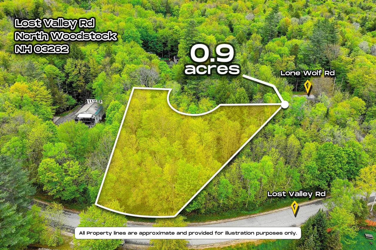 Lot 104-15 Lost Valley Road - Photo 1