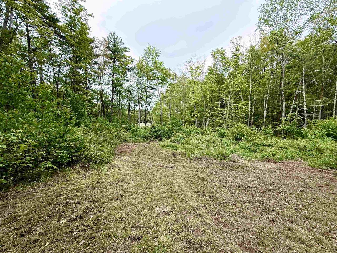 41-48 Meindl Road - Photo 1
