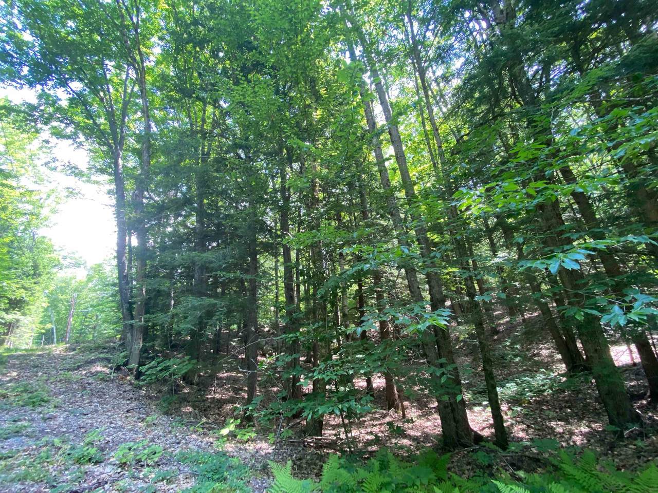 Tyler Way - Photo 1
