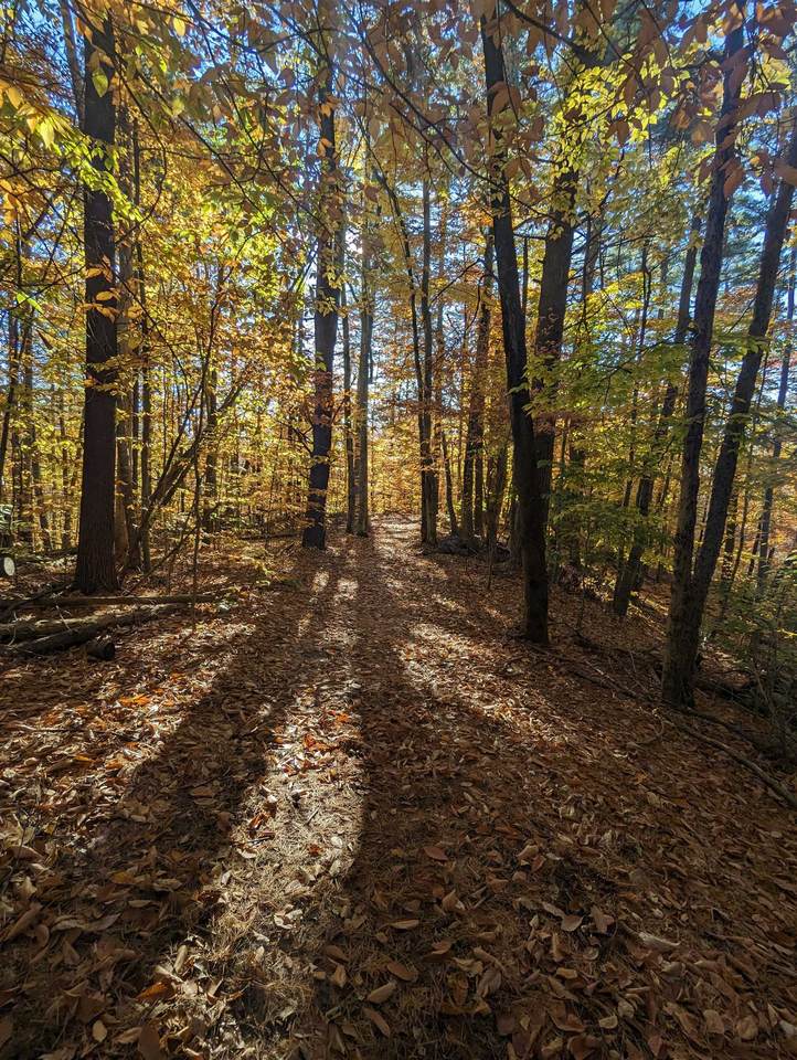 000 Province Road - Photo 1