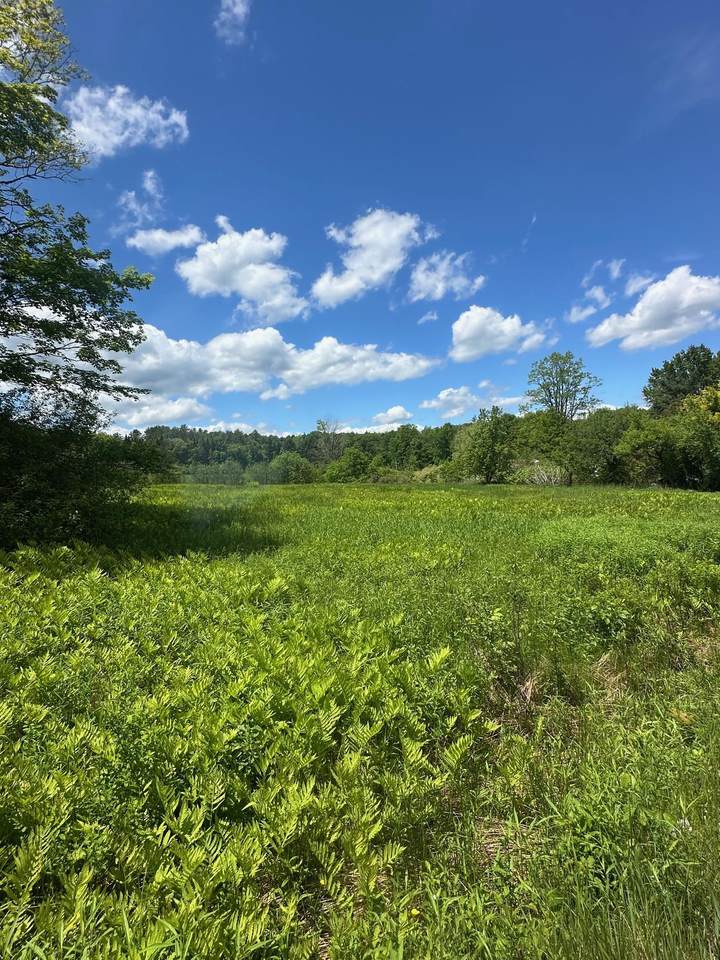 123 Rte 5 - Photo 1