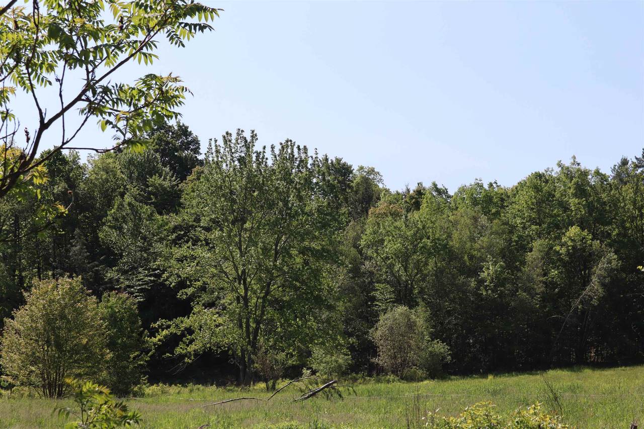 1041 Smead Road - Photo 1