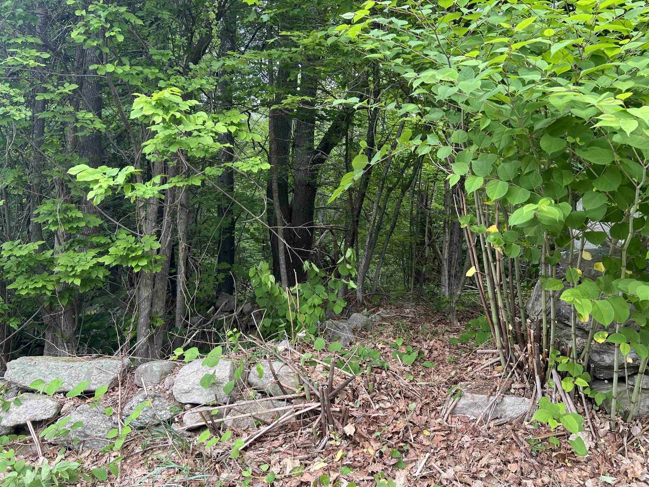 Ball Hill Road - Photo 1