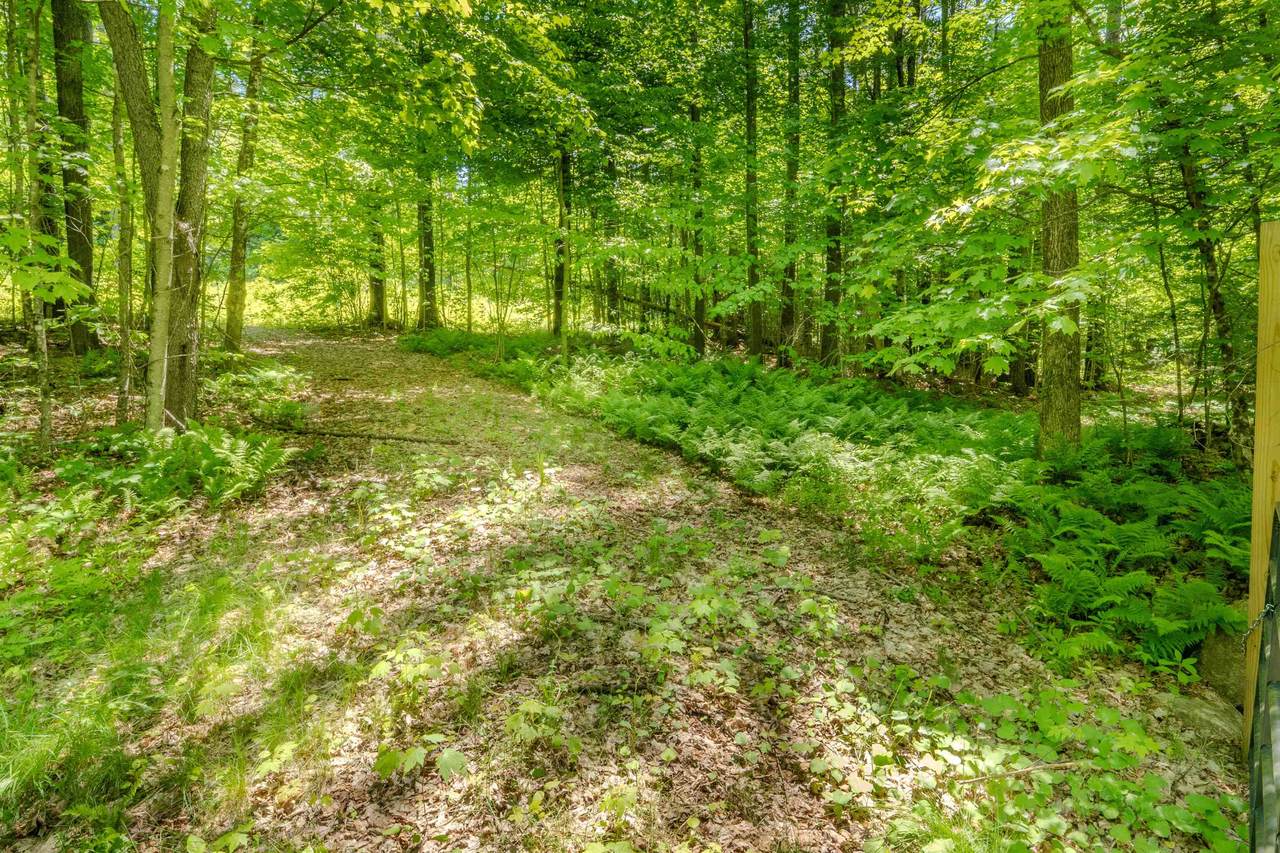971 South Road - Photo 1