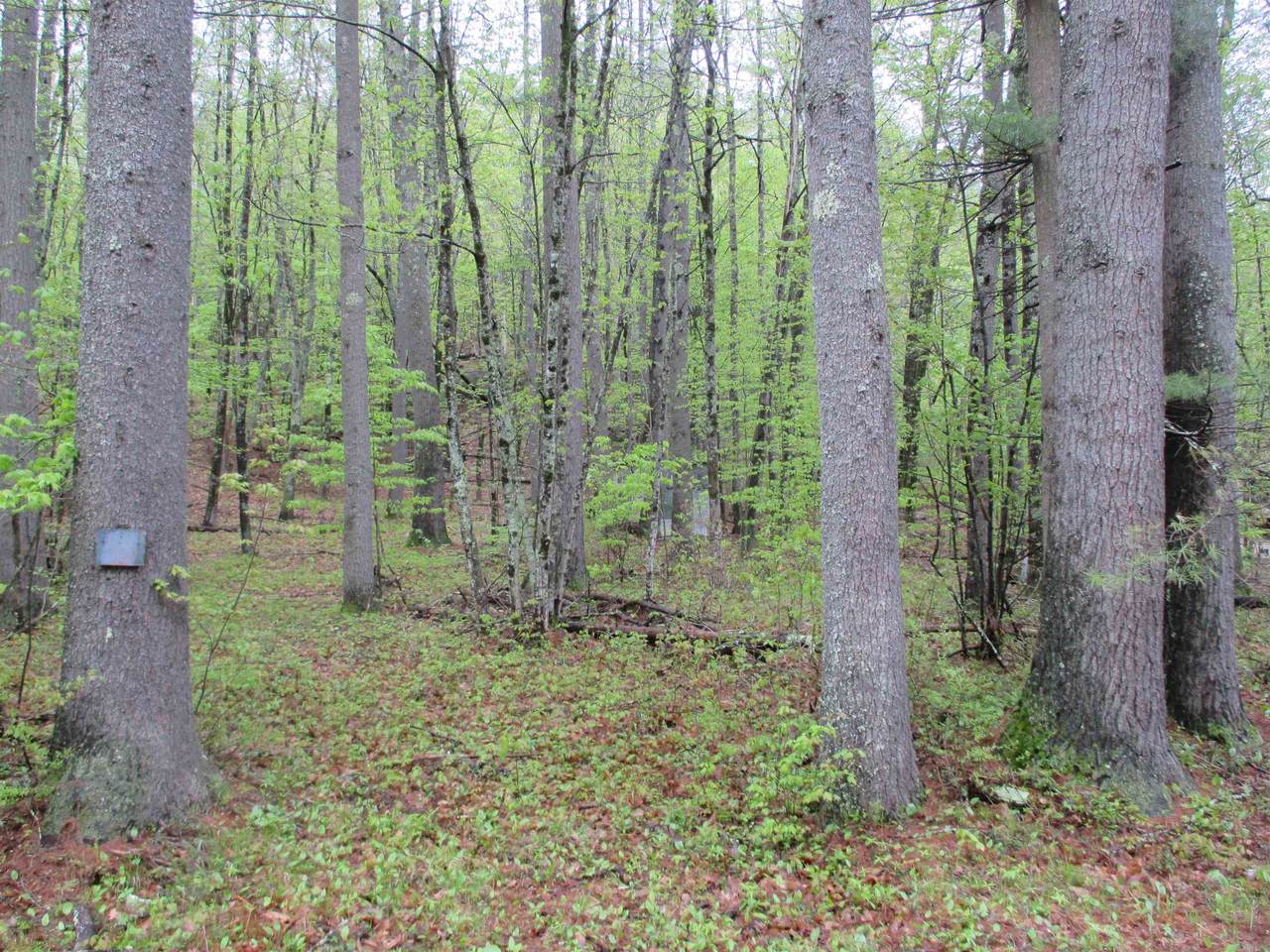 72 Brewster Road - Photo 1