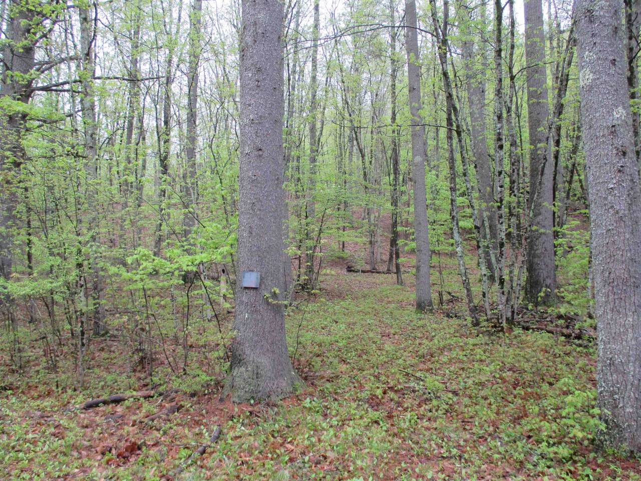 https://bt-photos.global.ssl.fastly.net/nneren/1280_boomver_1_5045331-2.jpg