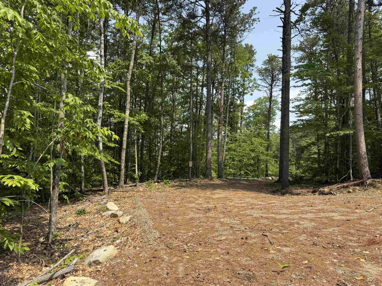 15 Circuit Road - Photo 1