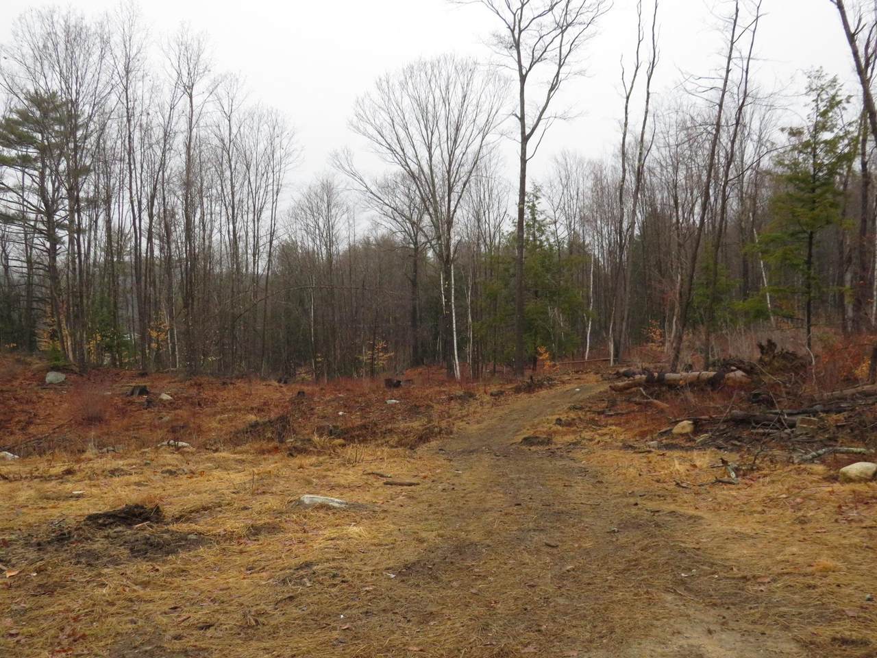 0011245 Parkview Street - Photo 1