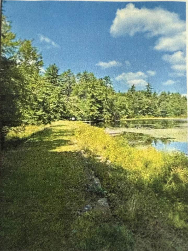 212-0003-01 Washington Street - Photo 1